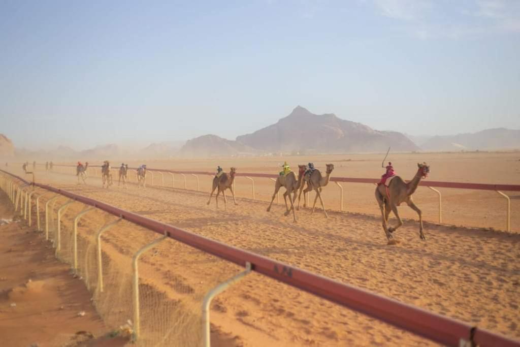 Martian Desert Camp Wadi Rum Extérieur photo