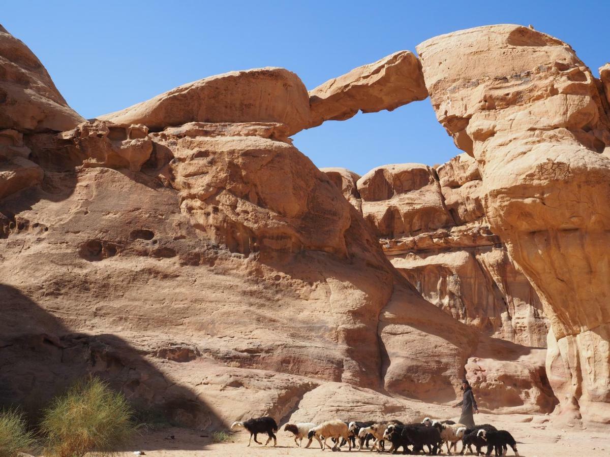 Martian Desert Camp Wadi Rum Extérieur photo
